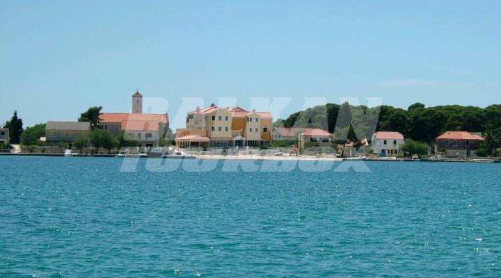 holiday in Spongiola