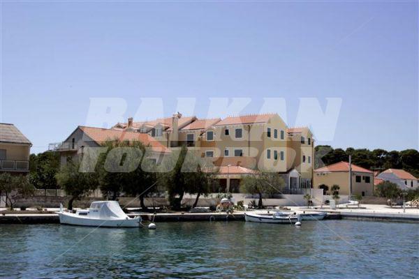holiday in Spongiola