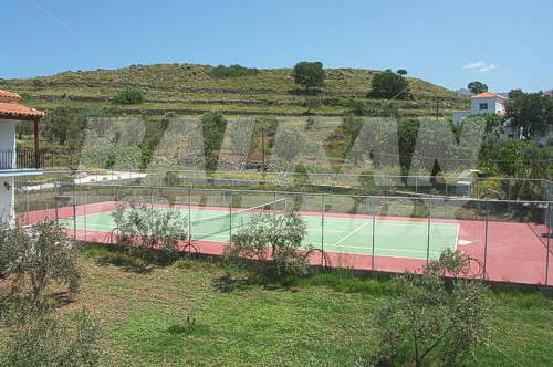 holiday in Aphrodite