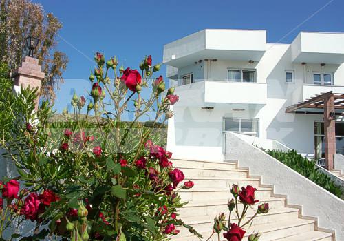 holiday in Aphrodite