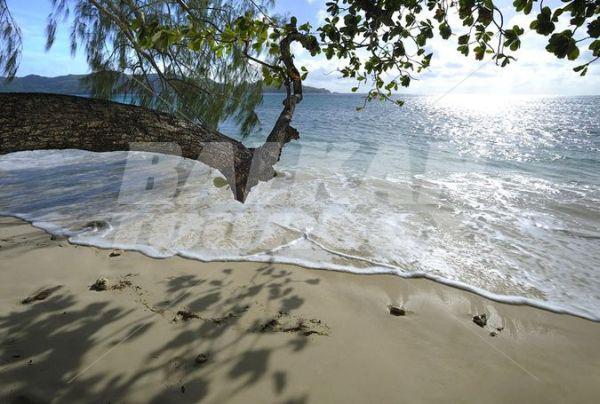 holiday in Raffles Praslin Seychelles