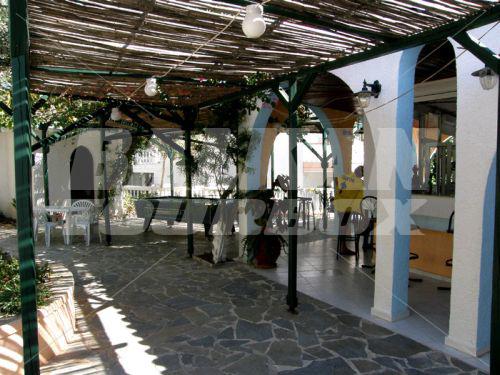 holiday in Pefkos Garden