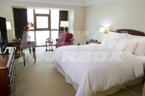 holiday in Swissotel Lima