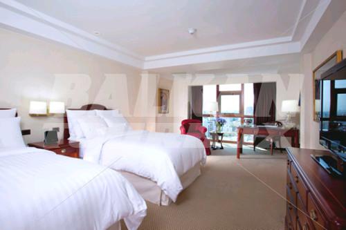 holiday in Swissotel Lima