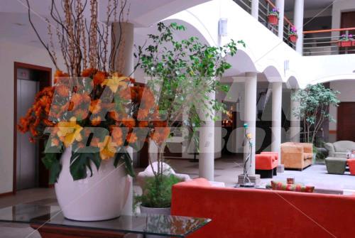 holiday in Eco Inn Cusco