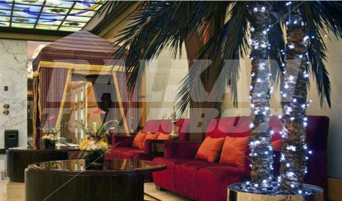 holiday in Royal Beach Resort & Spa Sharjah