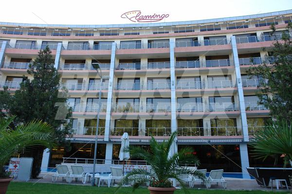 holiday in Flamingo