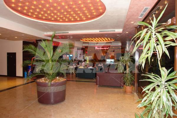 holiday in Flamingo