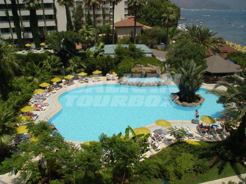 holiday in Tropical