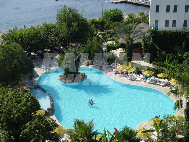 holiday in Tropical