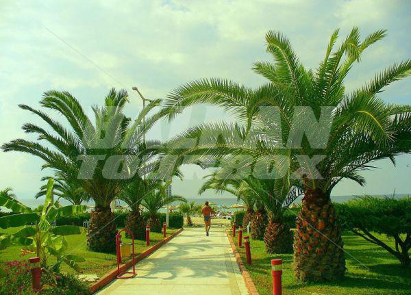holiday in Club Mersin Beach