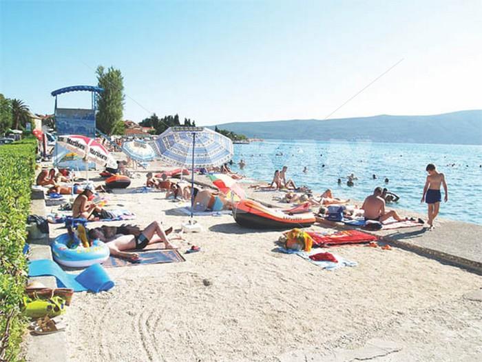 holiday in Kamelija