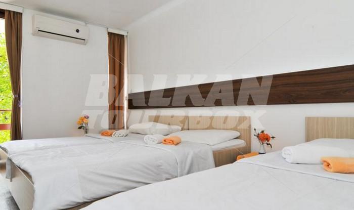 holiday in Kamelija