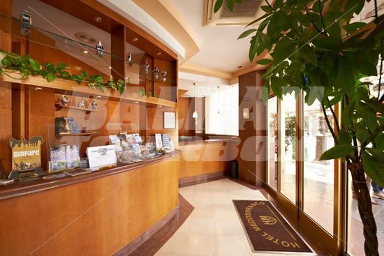 holiday in Mediterraneo