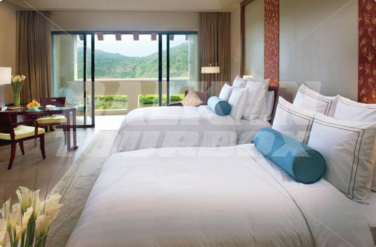 holiday in Ritz Carlton