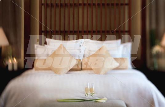 holiday in Ritz Carlton