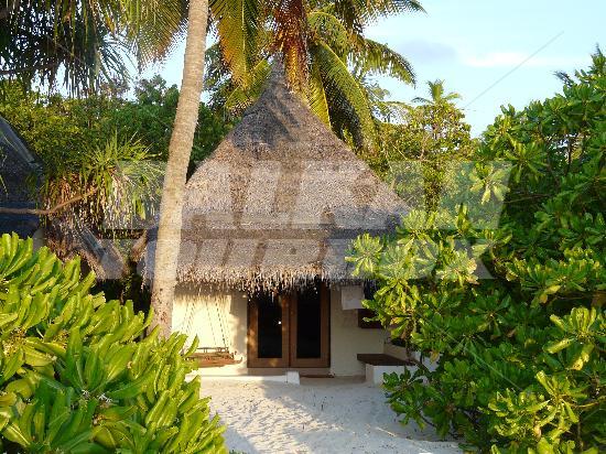 почивка в Angaga Island Resort