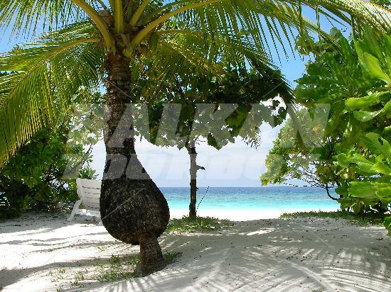 почивка в Angaga Island Resort