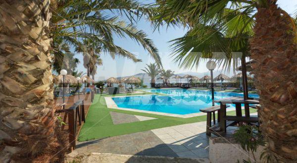 holiday in Clara