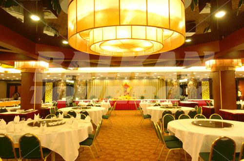 holiday in Royal Garden