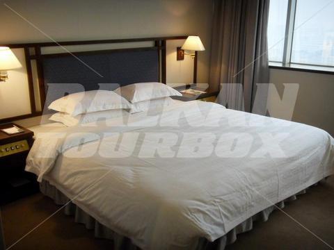 holiday in Celeste Palace International