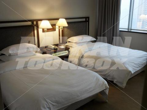 holiday in Celeste Palace International