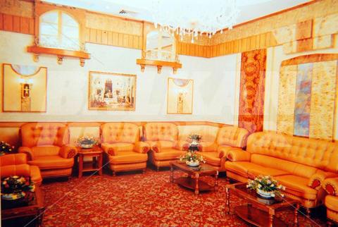 holiday in Celeste Palace International
