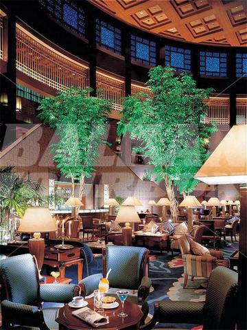 holiday in Grand Intercontinental