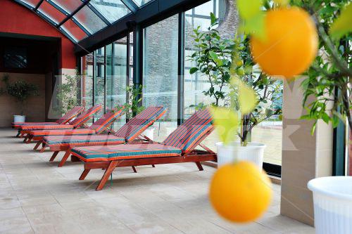 holiday in Exotic Park and SPA Hotel