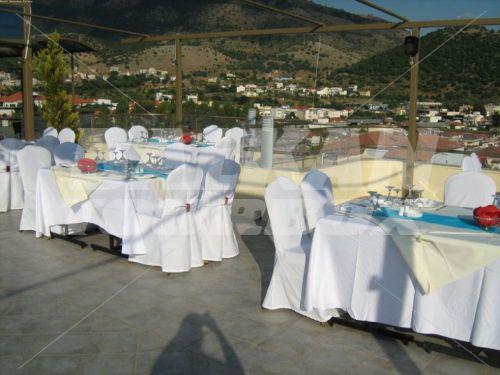 holiday in Seleykos Palace