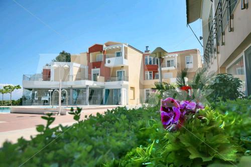 почивка в Heliotrope Hotel