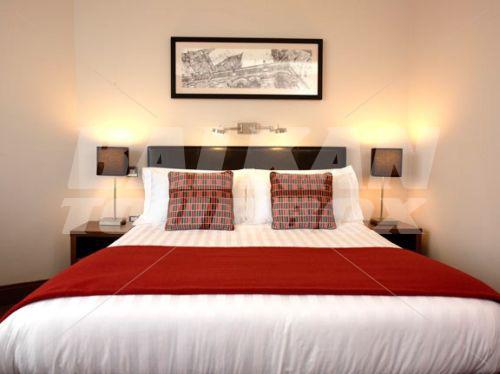 holiday in Silver Springs Moran Cork