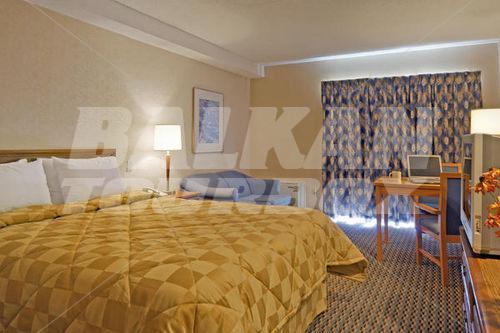 holiday in Comfort Inn Yarmouth