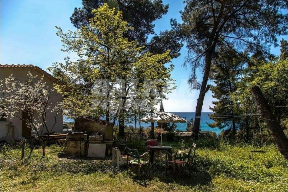 holiday in Aliki Villa - Nea Skioni