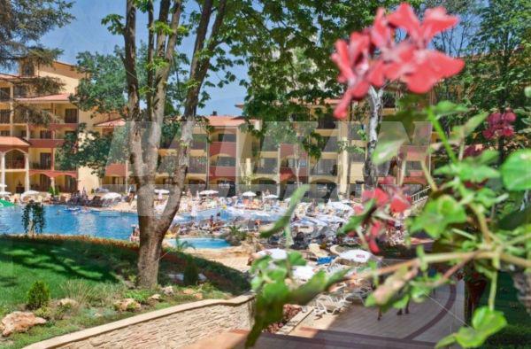 holiday in Grifid Bolero