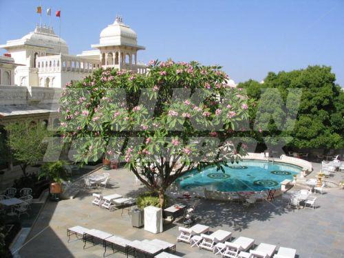 holiday in Shiv Niwas Palace