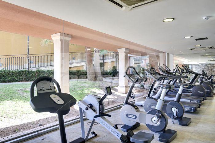 holiday in Occidental Playa de Palma 4* (ex.Barcelo Pueblo Park) 
