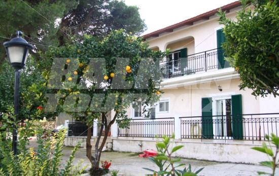 holiday in Sunrise Inn Hotel