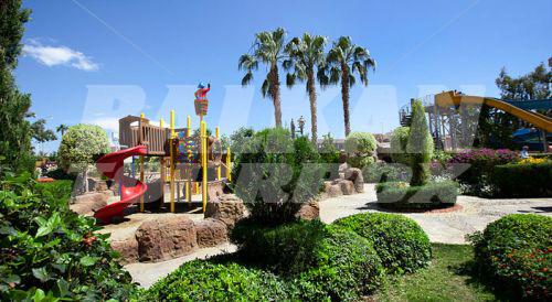 holiday in Lonicera World