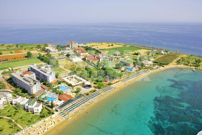 holiday in Lonicera World