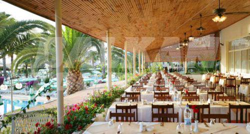 holiday in Lonicera World
