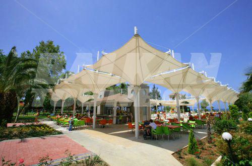 holiday in Lonicera World