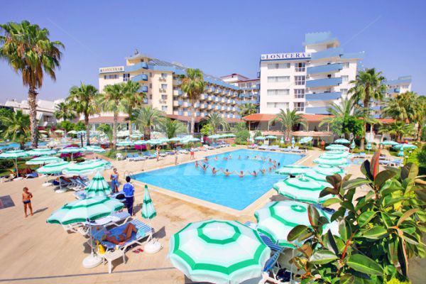 holiday in Lonicera World