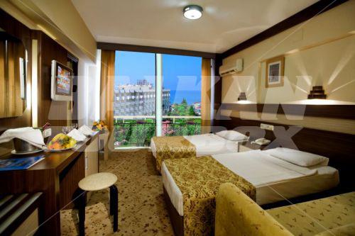 holiday in Lonicera World