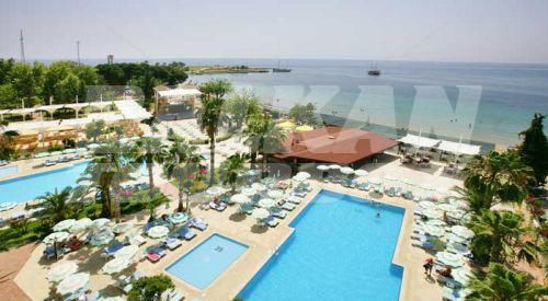 holiday in Lonicera World