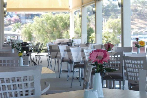 holiday in Avra Hotel