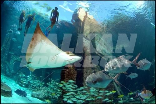 почивка в Atlantis - The Coral Tower