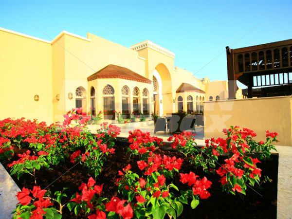 holiday in  Miramar Al Aqah Beach Resort