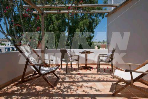 holiday in Apollon