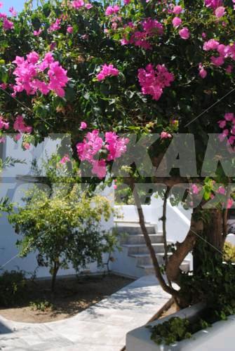 почивка в Apollonia Hotel Apartments